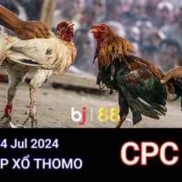 trực tiếp đá gà trường 88