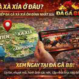 truc tiep đá gà xà xía