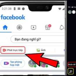truc tiếp đâ gà