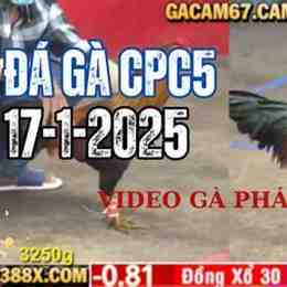 truc tiep ga da c1
