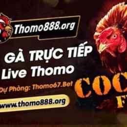 trực tiếp gà đá thomo cùng bình luận viên