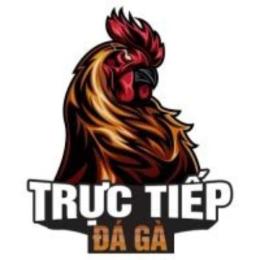 tructiep da ga 67 hom nay