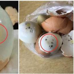 trứng gà bị đông đá có an được không