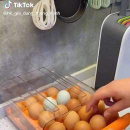 trứng gà để ngăn đá được không