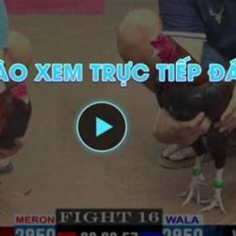 trut tiep da ga cpc