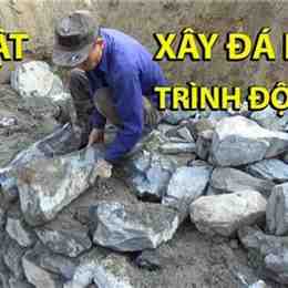 tường+thuật+đá+gà