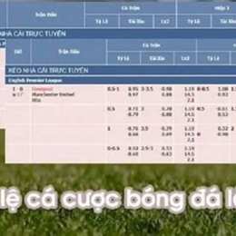 tỷ lệ cược đá gà