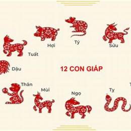 xem 12 con giáp đá gà