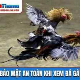xem da ga trũ tiep