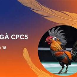 xem đá gà trực tiếp cpc5