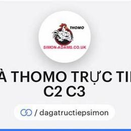 xem đá gà trực tiếp thomo c1 c2 c3 c4