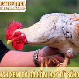 xem lai da ga hom qua