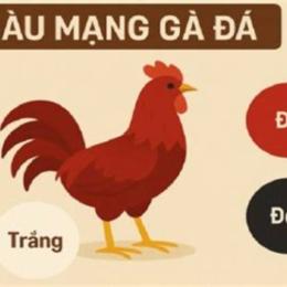 xem màu mạng đá gà hôm nay