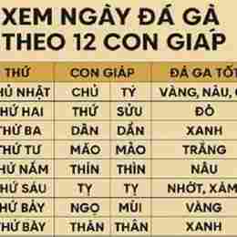 xem ngày gà đá theo 12 con giáp