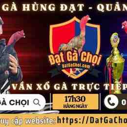 xổ gà đá